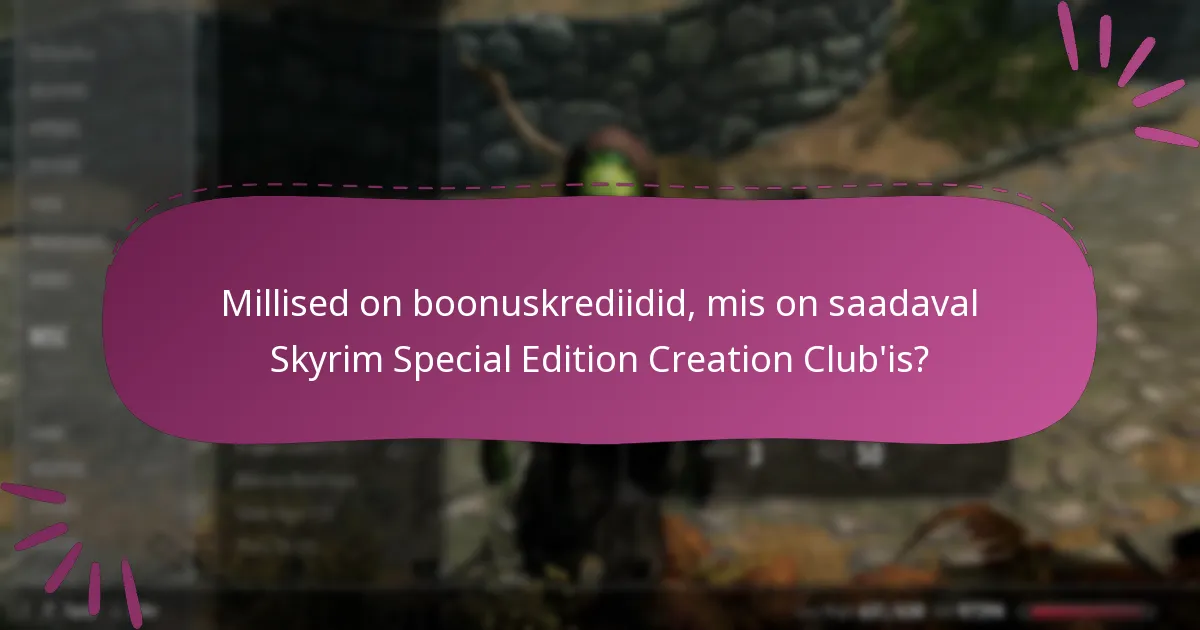 Millised on riskid ja kaalutlused krediitide ostmisel?